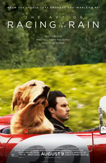 affiche racing rain